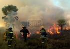 CORRIENTES: Alerta por focos de incendios de pastizales en varias localidades