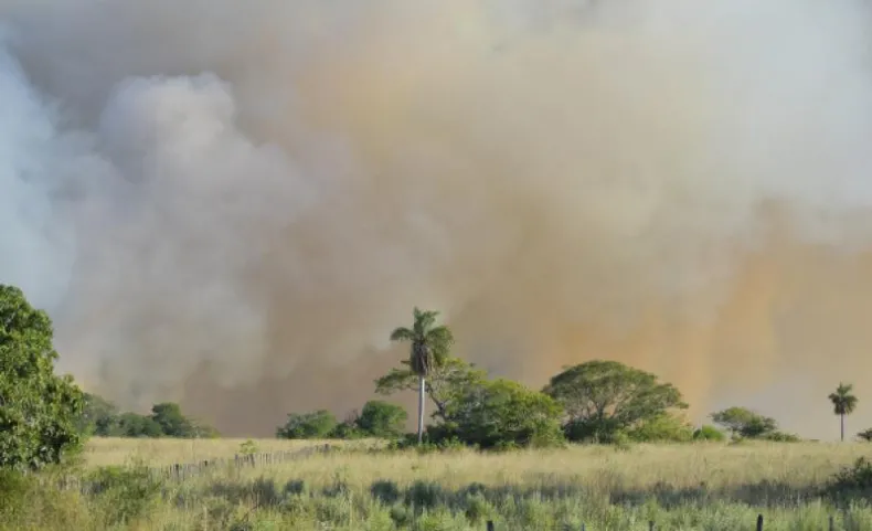 Cambio ClimÁtico: Hay 30 focos de incendios activos en todo el territorio provincial