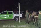 ITUZAINGO | CABALLOS SUELTOS CAUSAN DESTROZOS Y TERMINAN SECUESTRADOS