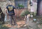 SAN LUIS DEL PALMAR | RESCATARON A UN PERRO EN ESTADO DE ABANDONO TRAS UN ALLANAMIENTO