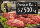 CARNE DE BURRO: UNA EXPERIENCIA PILOTO QUE DESPIERTA CURIOSIDAD EN EL SUR