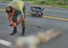 SAN ROQUE | LO EMBISTIERON EN RUTA 12 Y QUEDÓ GRAVE