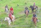 ITUZAINGO | RECUPERAN 11 ANIMALES ROBADOS TRAS OPERATIVO RURAL