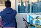 CAYERON “RATA” Y “CHINITO” TRAS ALLANAMIENTO EN SALADAS