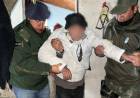 GOYA | UN PERRO AYUDÓ A SALVAR A UN ABUELO PERDIDO EN EL MONTE