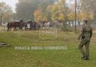 OTRA VEZ LOS CABALLOS SUELTOS EN SAN ROQUE