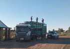 GUAYQUIRARÓ | FRENARON DOS CAMIONES CON MÁS DE 120 VACUNOS POR IRREGULARIDADES