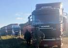SANTO TOMÉ | DENUNCIÓ EL ROBO DE 150 VACAS… ¡Y TERMINÓ DETENIDA POR ABIGEATO!