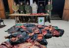 SALADAS | TRANSPORTABAN CARNE SIN CONTROL SANITARIO Y TERMINARON APREHENDIDOS
