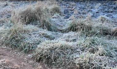 Alertas naranja, amarilla y roja por frío extremo en Corrientes