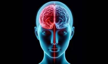 SALUD | Qué se puede hacer a diario para proteger el cerebro y prevenir la demencia