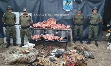 ALLANAMIENTO POSITIVO POR ABIGEATO EN PASO DE LOS LIBRES