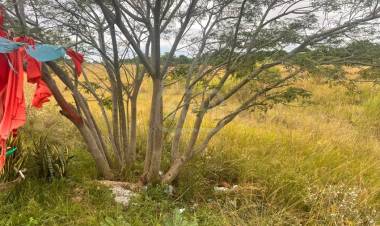 HALLARON LAS URNAS FUNERARIAS ROBADAS EN 9 DE JULIO