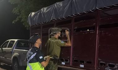 SAN LUIS DEL PALMAR | DEMORARON A UN HOMBRE POR TRANSPORTAR EQUINOS DE MANERA IRREGULAR