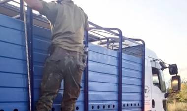 ITATI | LLEVABA 16 VACAS SIN PAPELES Y LE COSTÓ $2 MILLONES