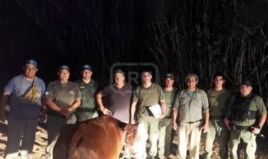 COLONIA PANDO | TRAS CUATRO DÍAS, RECUPERAN UN VACUNO ROBADO