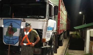 CURUZÚ CUATIÁ | SECUESTRAN MÁS DE 100 OVEJAS POR FALTA DE DOCUMENTACIÓN