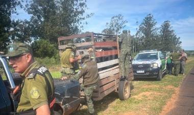 MBURUCUYA | LO FRENARON EN LA RUTA Y LA HACIENDA VIAJABA “SIN PAPELES”