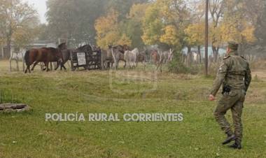 OTRA VEZ LOS CABALLOS SUELTOS EN SAN ROQUE
