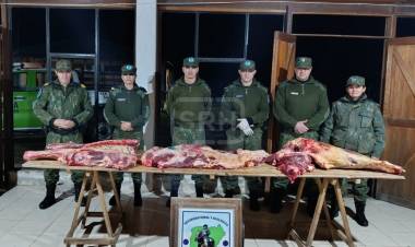 SALADAS | SECUESTRAN MÁS DE 100 KILOS DE CARNE VACUNA EN UN CONTROL RURAL
