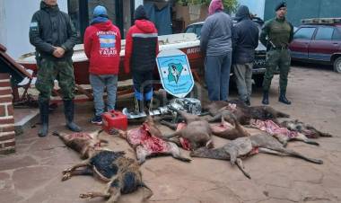 PASO DE LOS LIBRES | CAZABAN FAUNA SILVESTRE Y TERMINARON APREHENDIDOS