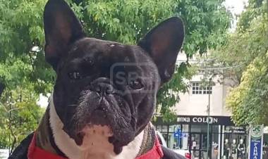 SAN ROQUE | RESCATE DE "REICHI": LA POLICÍA ACLARÓ EL CASO QUE SE HIZO VIRAL