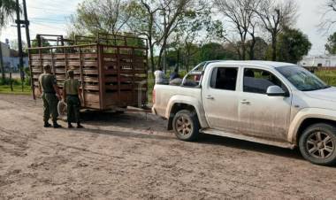 SAN ROQUE | UNA PRESUNTA VENTA “EN NEGRO” TERMINÓ CON CUATRO VACUNOS SECUESTRADOS