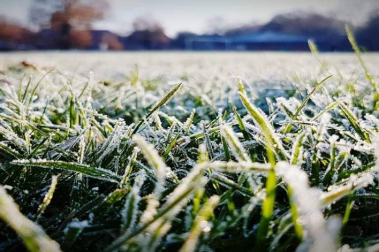 Cuatro ciudades de Corrientes en el ranking de las más frías del país