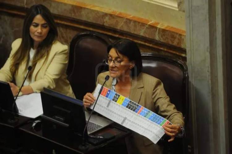 LA DEFINICIÓN QUEDÓ EN MANOS DE DIPUTADOS | El Senado aprobó con cambios la Boleta Única de Papel