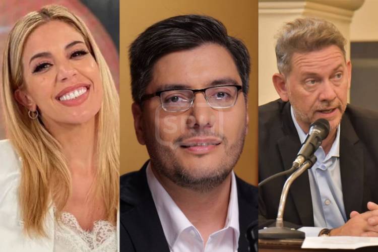 DIÓGENES GONZÁLEZ, VIRGINIA GALLARDO Y "RULO" HADAD, ELECTOS