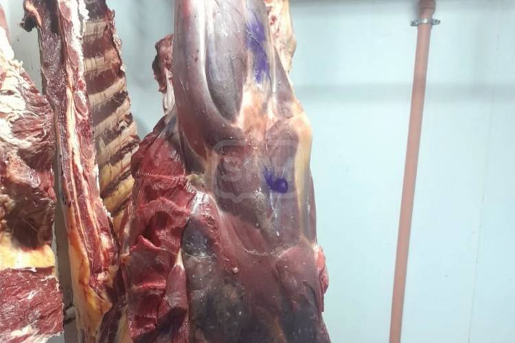 SECUESTRAN CARNE CON SELLOS APÓCRIFOS Y RESTOS ORGÁNICOS EN CURUZÚ CUATIÁ