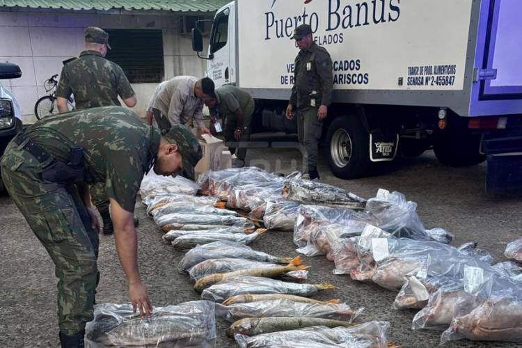 ITUZAINGO | CAEN CON 700 KILOS DE PESCADO PROHIBIDO EN LA RUTA