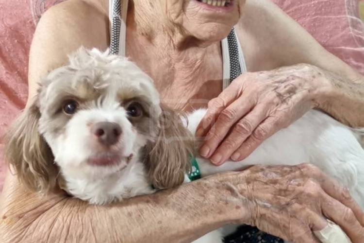SANTA LUCIA | ABUELA Y SU CANICHE FUERON ATACADOS POR UN PERRO SUELTO