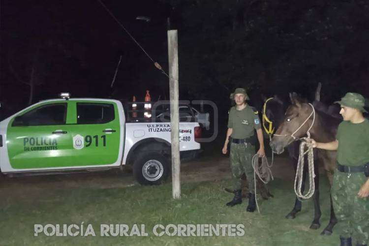ITUZAINGO | CABALLOS SUELTOS CAUSAN DESTROZOS Y TERMINAN SECUESTRADOS