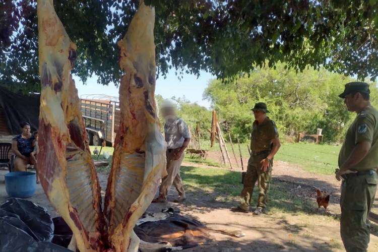 CORRIENTES | SORPRENDEN FAENA CLANDESTINA Y APREHENDEN A UN HOMBRE EN PERICHÓN