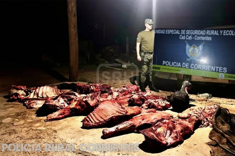 TIMBÓ CORÁ | LLEVABA UN ANIMAL FAENADO SIN CONTROL Y LO FRENARON