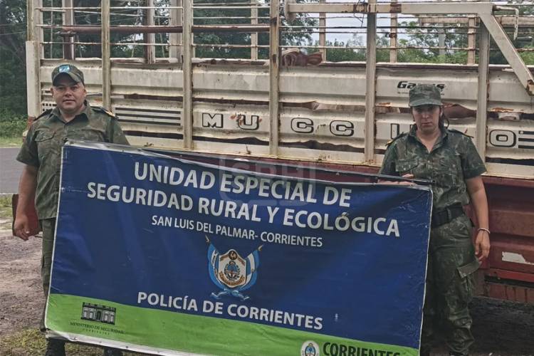 ENSENADITA | MULTA MILLONARIA POR LLEVAR GANADO SIN PAPELES