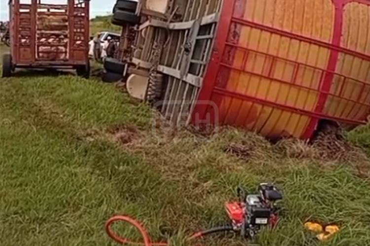 VUELCO EN RUTA 12: CAMIÓN CON GANADO Y DOS HERIDOS EN SAN ROQUE