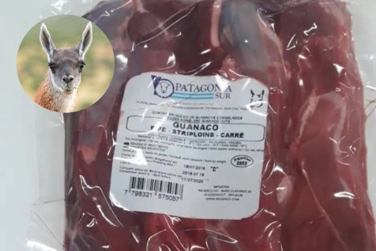 YA VENDEN CARNE DE GUANACO: CUESTA $6.500 EL KILO Y BUSCA GANAR MERCADO