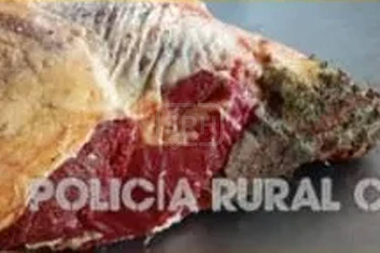 SAN LUIS DEL PALMAR | SECUESTRAN CARNE NO APTA EN CONTROL A CARNICERÍAS