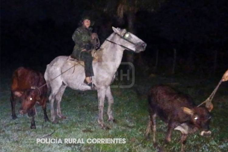 CAÁ CATÍ | LLEGARON A TIEMPO Y FRUSTRARON ROBO DE TERNEROS