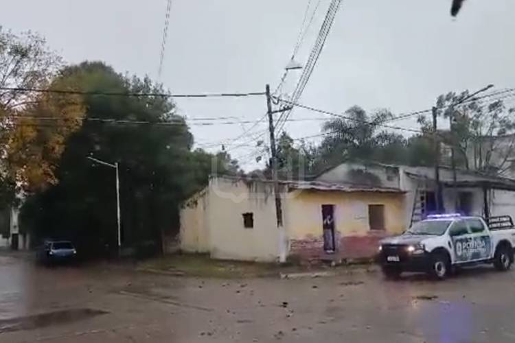 EL TEMPORAL VOLÓ TECHOS Y DERRIBÓ ÁRBOLES EN SAN ROQUE