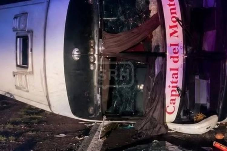 ALVEAR | TRAGEDIA EN LA RUTA 14: UNA MUJER MURIÓ TRAS EL VUELCO DE UN COLECTIVO