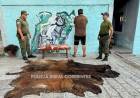 SECUESTRAN CARNE VACUNA TRANSPORTADA SIN CONTROL SANITARIO