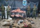 ALLANAMIENTO POSITIVO POR ABIGEATO EN PASO DE LOS LIBRES