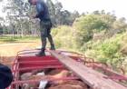 VIRASORO: FRENAN UNA CARGA DE VACAS “FLOJITA DE PAPELES”