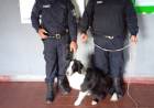 LOMAS DE GONZALEZ | BUSCÓ A SU PERRO DURANTE TRES MESES Y LA HISTORIA TUVO FINAL FELIZ