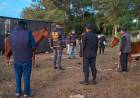 SAN LUIS DEL PALMAR | RESCATARON TRES CABALLOS QUE ESTABAN EN MAL ESTADO