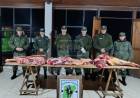 SALADAS | SECUESTRAN MÁS DE 100 KILOS DE CARNE VACUNA EN UN CONTROL RURAL