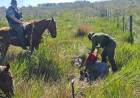 ITUZAINGO | SORPRENDEN A TRES "MIÑOQUEROS" DENTRO DE UN CAMPO PRIVADO